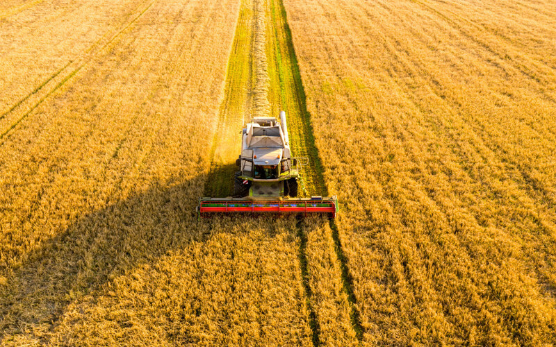 Agriculture