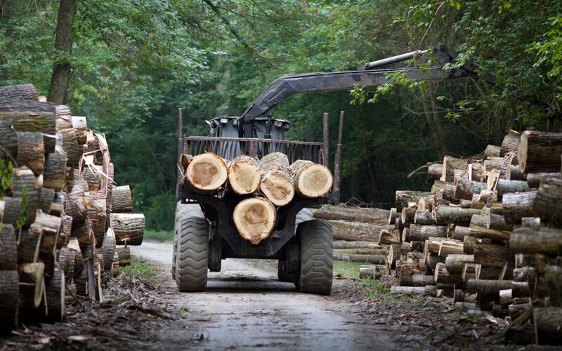 Lumber